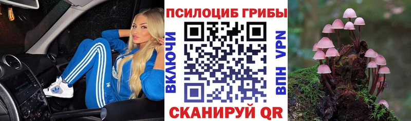 цены наркотик  Петушки  Галлюциногенные грибы Magic Shrooms 
